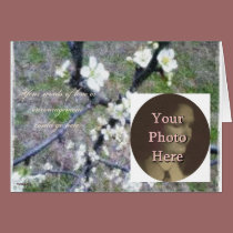 Rustic Romance Plum Blossom (Photo Customizable) cards