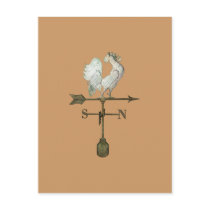 Rustic Rooster Postcard