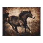 Rustic Sepia Galloping Horse Stretched Canvas Print