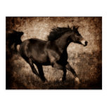 Rustic Sepia Galloping Horse Postcard