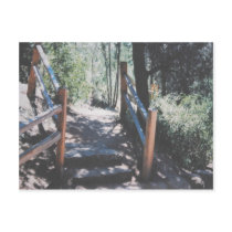 Rustic Steps And Railings Postcard