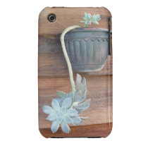 Rustic Succulent iPhone Case casemate cases
