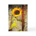 Rustic Sun Flower greeting card