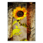 Rustic Sun Flower greeting card