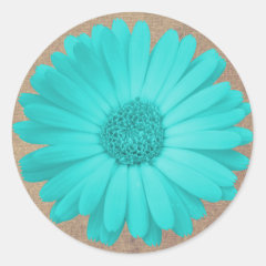 Rustic Teal Gerber Daisy Round Stickers Seals
