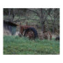Rustic Tractor