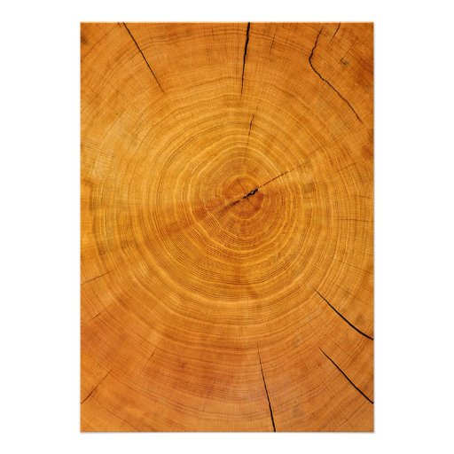 Rustic Tree Ring Wedding Invitations