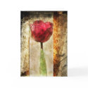 Rustic Tulip-Greeting Card