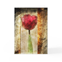 Rustic Tulip-Greeting Card