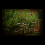 Rustic Turkey's In Flight posters