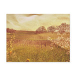 Rustic Vineyard in Napa Valley California Post Card