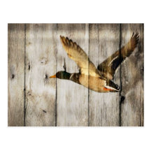 rustic vintage barnwood country ducks hunter post card