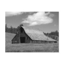 Rustic Weathered Barn Black And White Postcard