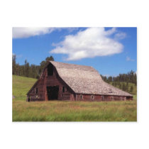 Rustic Weathered Barn Postcard