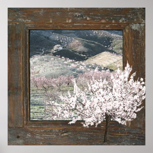 Rustic wood pink scenic blossom large poster print