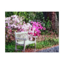 Rustic Wooden Bench In The Park Postcard