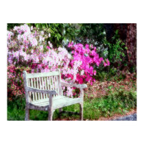 Rustic Wooden Bench In The Park Poster