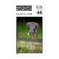 Rustin Pup postage by patty860 Rustin Pup postage