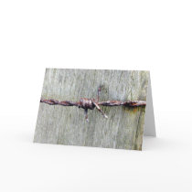 Rusty Birbwire Card