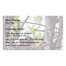 Rusty Blackbird Female On Nest Business Card