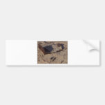 Rusty Cans Desert Sand Bumper Stickers