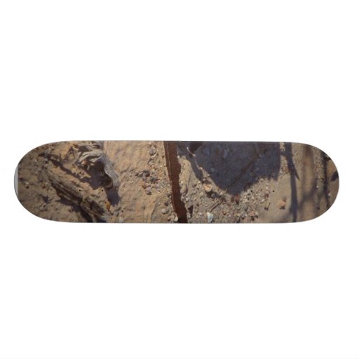 Rusty Cans Desert Sand Skateboard