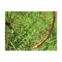 rusty chair with vine postcards