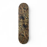 Rusty Color Rock Skate Board