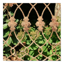 Rusty fence posters by ribizlifozelek Rusty fence posters