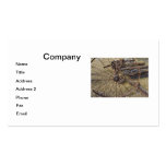 Rusty Hay Raker Business Cards