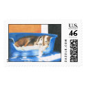 Rusty in a Sunbeam postage by pencilpetportraits Rusty in a Sunbeam postage
