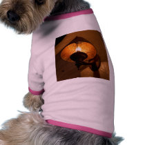 Rusty Lamp Fire pet clothing