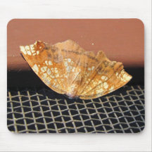 Rusty Moth ~ mousepad