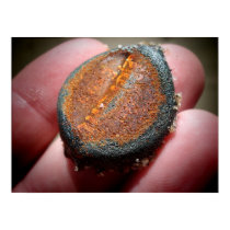 Rusty Ocean Bottle Cap posters