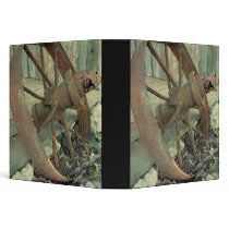 Rusty Old Wheel Binders