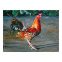Rusty Pinklegs posters by Seedmother Rusty Pinklegs posters