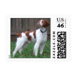 Rusty postage