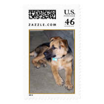 rusty postage