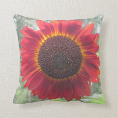 Rusty Red Sunflower Pillow