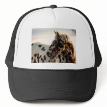 Rusty the Appaloosa Hat
