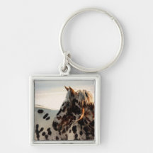 Rusty the Appaloosa Key Chains