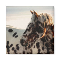Rusty the Appaloosa Refrigerator Magnets