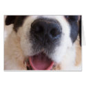 Ruthie's Nose cards by dephal Ruthie's Nose cards