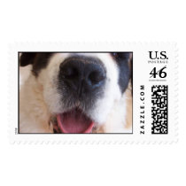 Ruthie's Nose postage