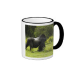 Rwanda, Volcanoes National Park. Mountain 2 Mug