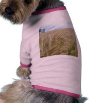 Rye Plants Seed pet clothing