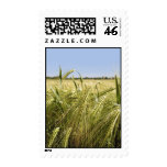 Rye Postage Stamp