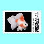 Ryukin Fantail Goldfish Postage postage