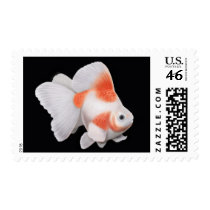 Ryukin Fantail Goldfish Postage postage