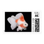 Ryukin Fantail Goldfish Postage postage
